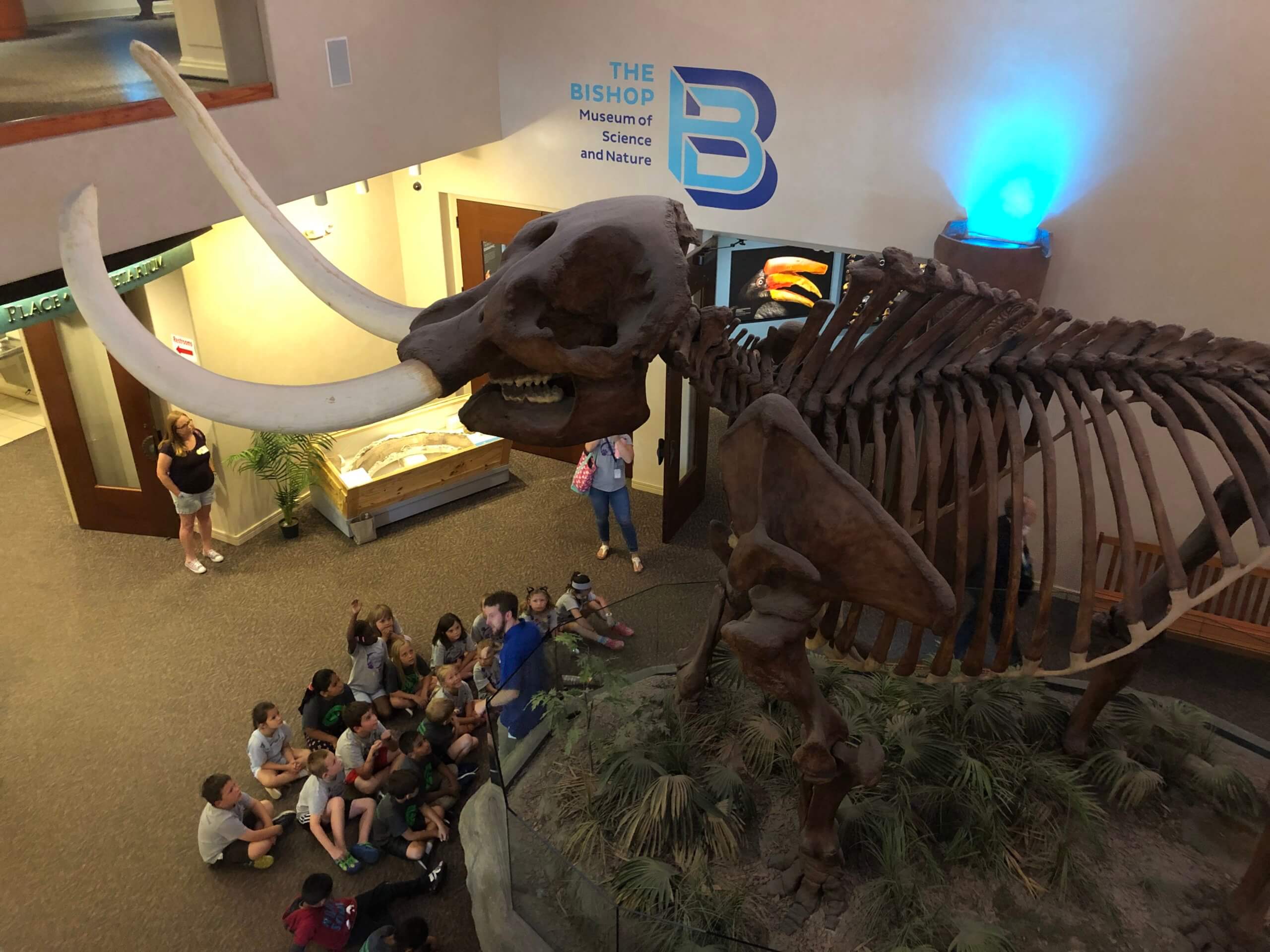 Field trips at The Bishop Museum of Science and Nature