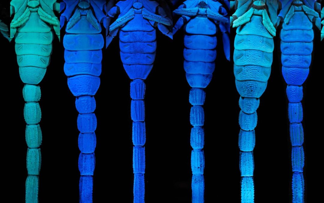 Picturing Science Special Exhibition