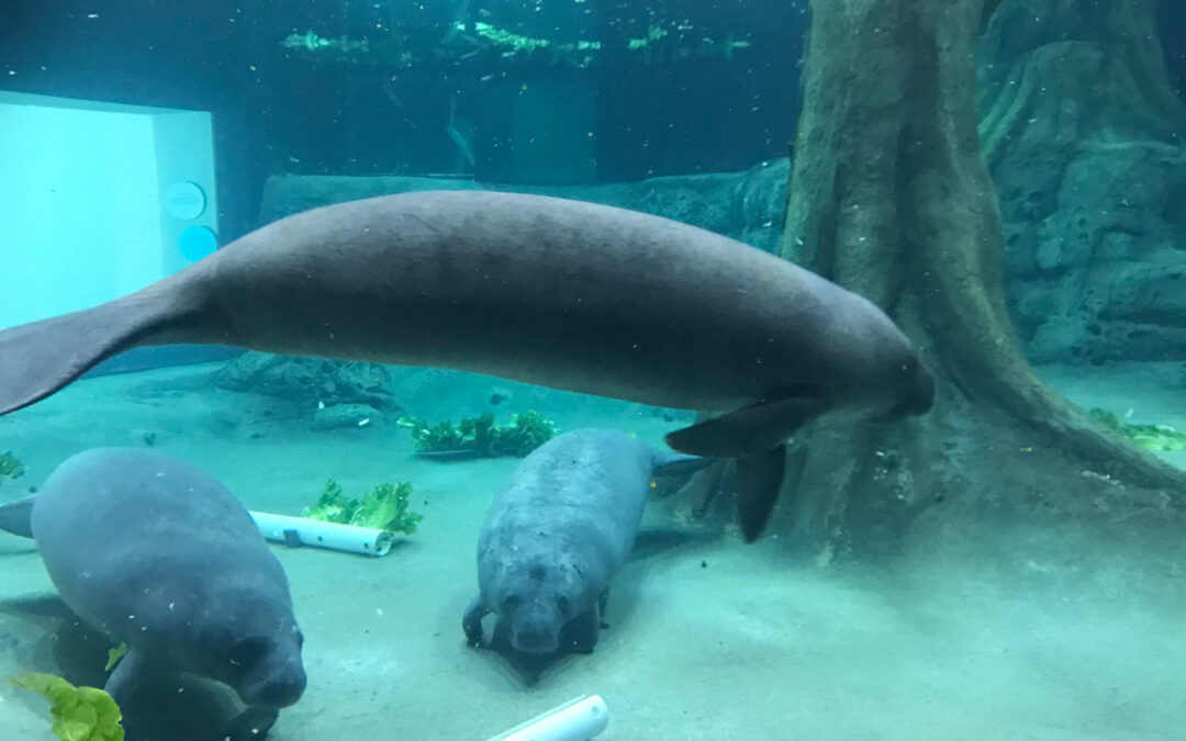 Aria Arrives at The Bishop