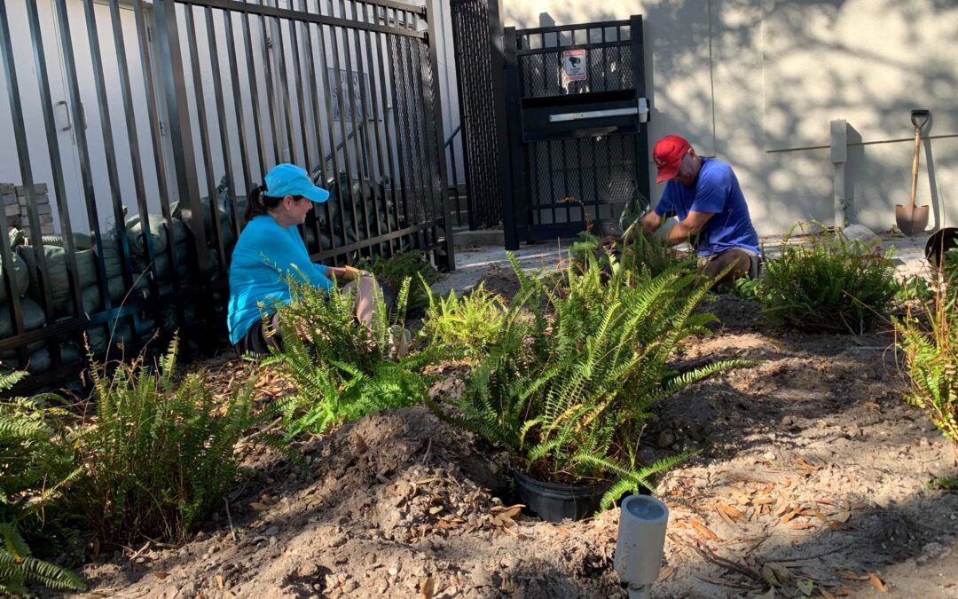 Manasota Florida Nursery Growers Landscape Association Beautifies The Bishop