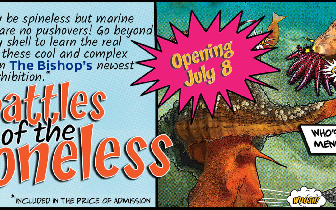 The Bishop’s Newest Special Exhibition Packs a Punch