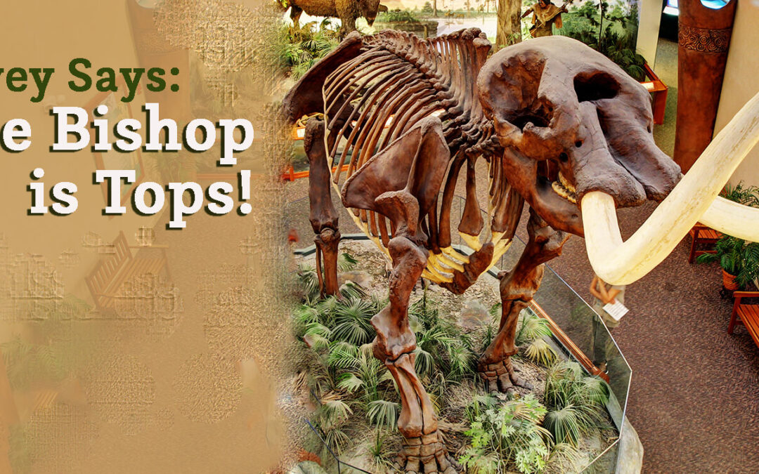 Survey Says: Bishop is Tops!