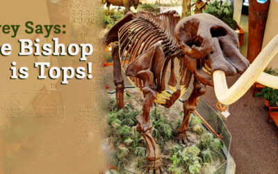 Survey Says: Bishop is Tops!