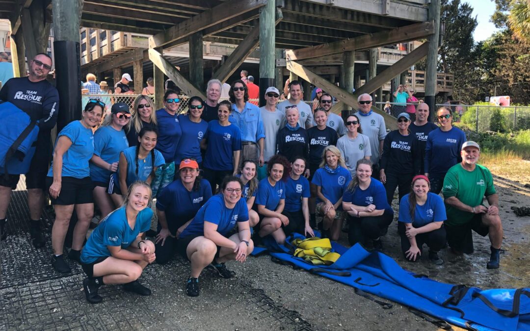 The Bishop Returns Three Manatees to the Wild