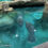 The Bishop Welcomes Two New Manatees