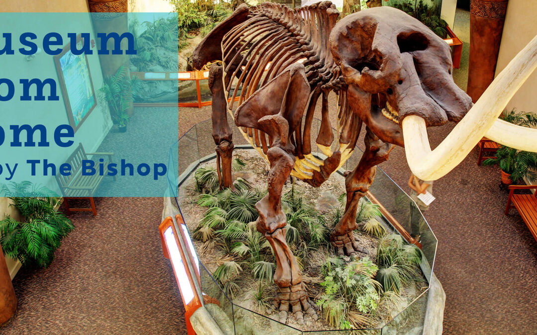 Have Out-of-This World Adventures With The Bishop — From Home