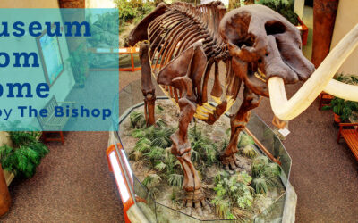 Have Out-of-This World Adventures With The Bishop — From Home