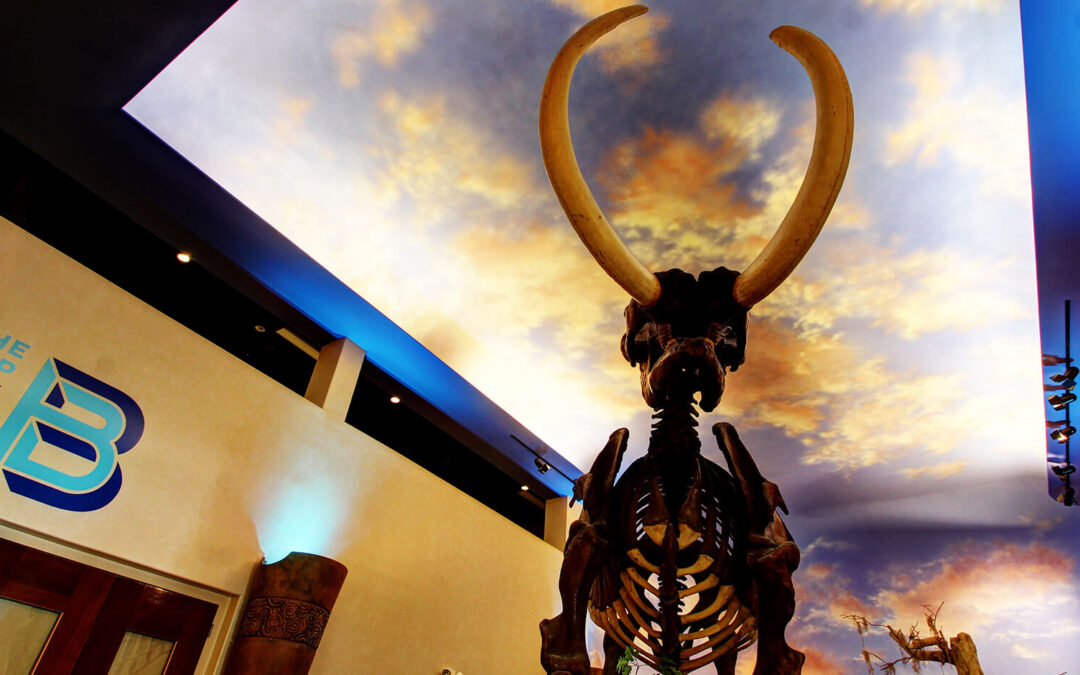 The Bishop is Temporarily Closed