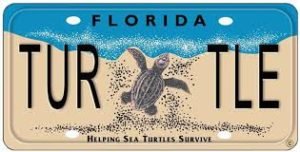 Sea Turtle Licence plate