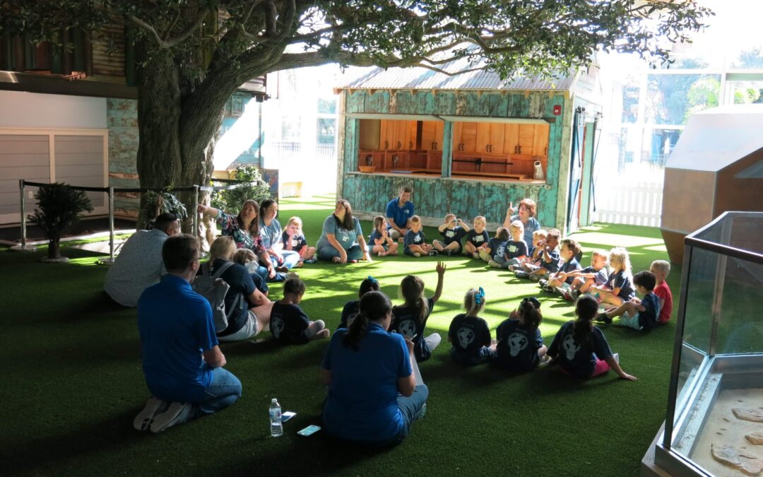 The Mosaic Backyard Universe