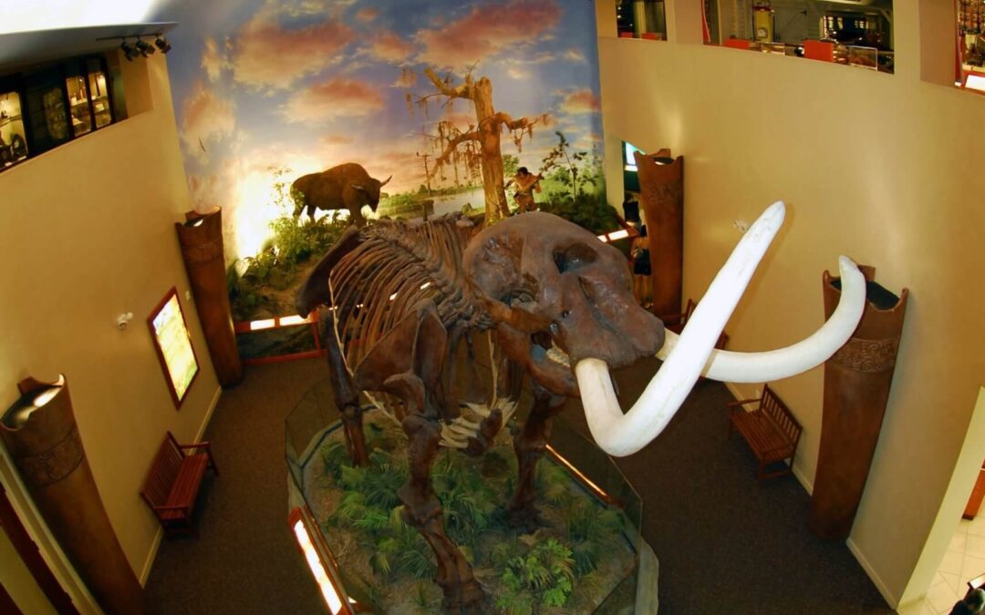 South Florida Museum Welcomes New Members to its Board