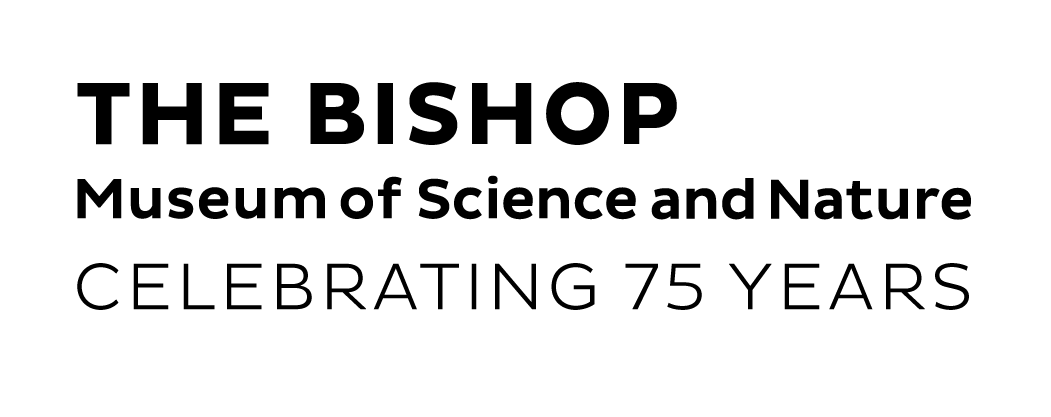 Celebrating Our 75th Year