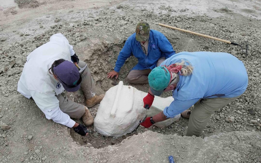 2018 Paleontological Expeditions for Educators