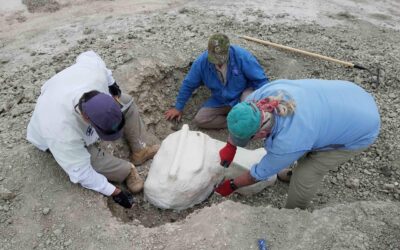 2018 Paleontological Expeditions for Educators