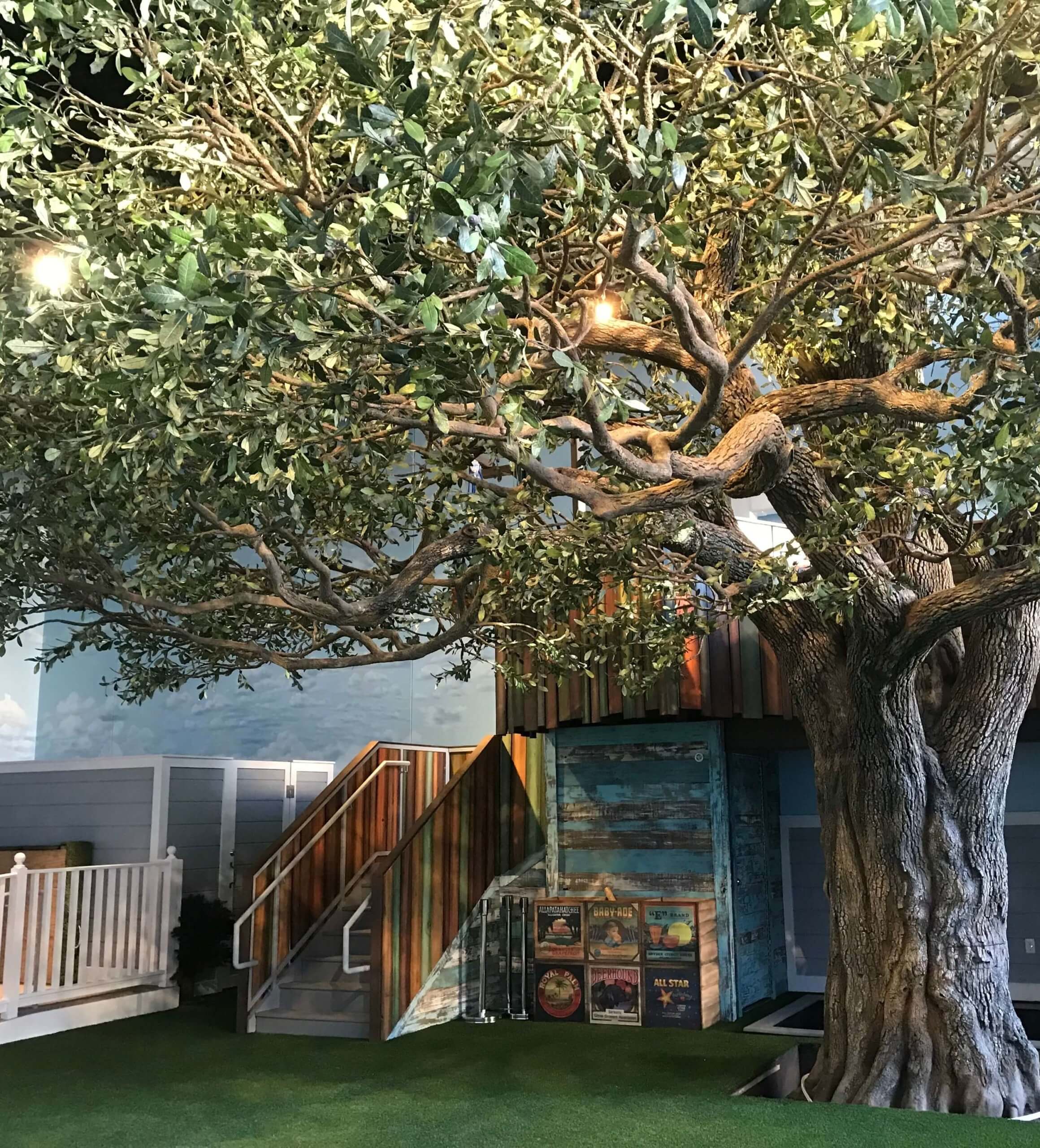 Graphic of various creatures showing evolution.