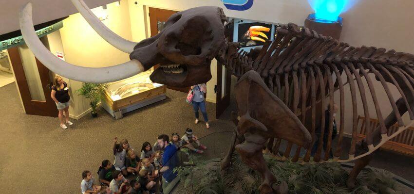 Image of a tour guide talking to a group of children under the skeleton of a wooly mammoth at the Bishop Museum of Science and Nature.
