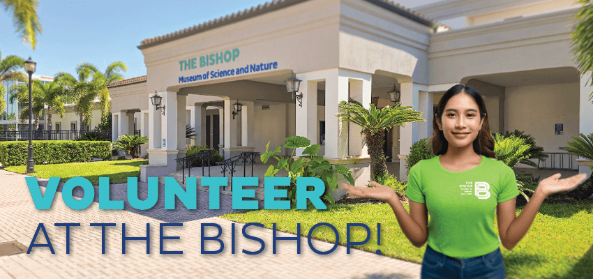 Image of a woman in front of the Bishop Museum of Science and Nature with text overlaid that says "Volunteer at the Bishop!".