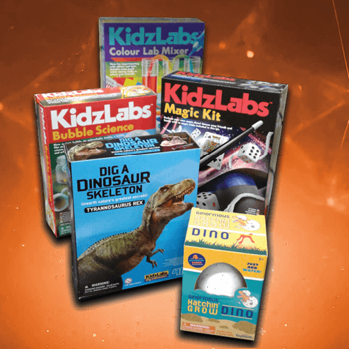 Image of KidzLabs toys.