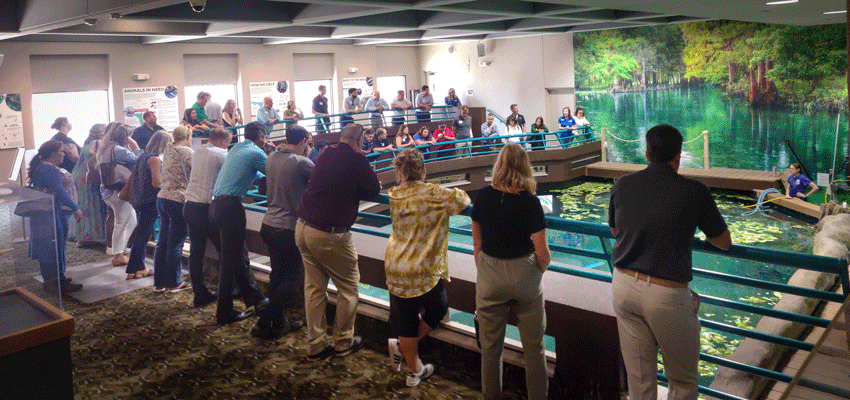 Image of a crowd of people looking at the water in the Parker Manatee Rehabilitation Habitat.