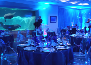 Image of tables and chairs set up in the Jeannie Kirkpatrick Boardroom with manatees swimming in the background.