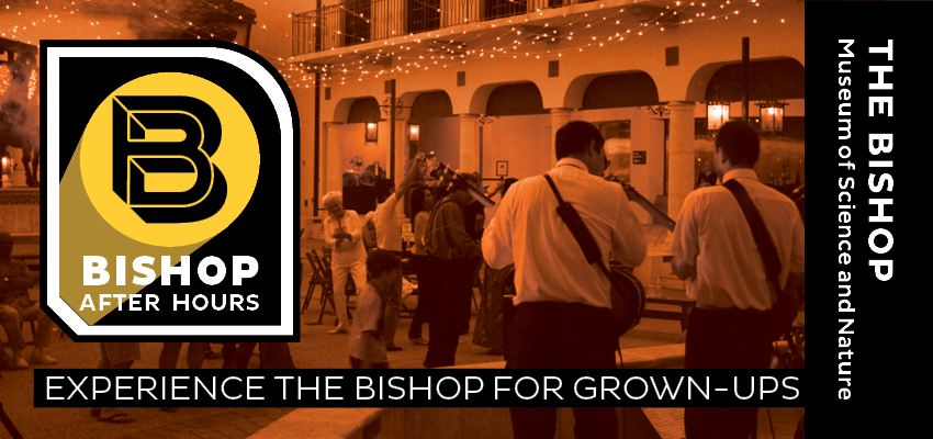 Bishop After Hours image