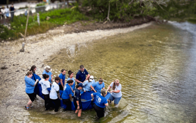 Bishop Releases Three Manatees