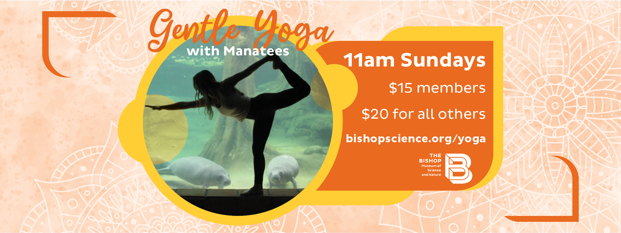 Gentle Yoga with Manatees