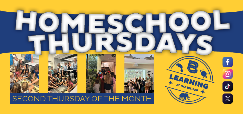 Homeschool Thursdays