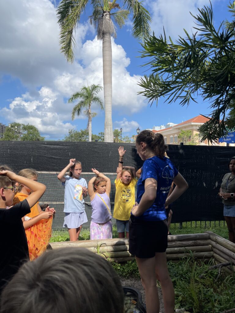Campers exploring the backyard for bugs.