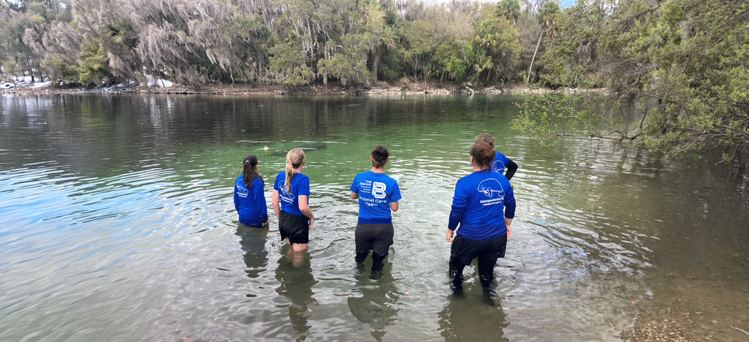 Bishop Staff releases Mandalore on February 18, 2026.