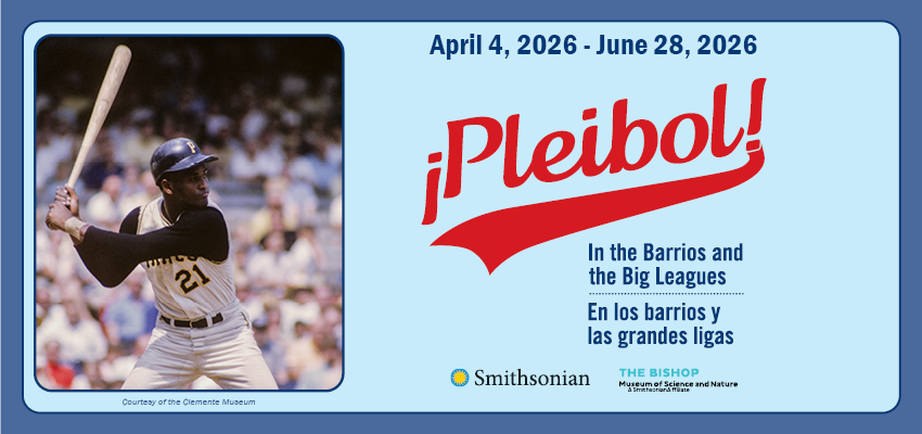 ¡Pleibol! In the Barrios and the Big Leagues / En los barrios y las grandes ligas