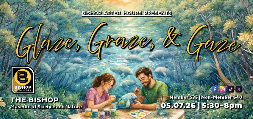 Bishop After Hours presents Glaze, Graze, and Gaze