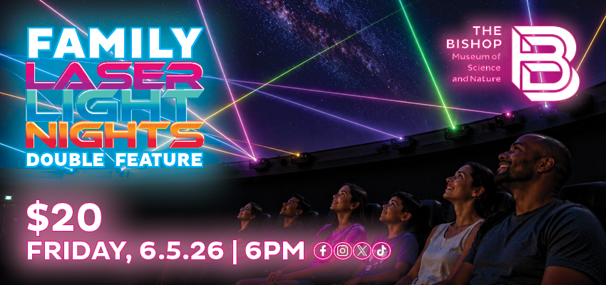 2026 Laser Light Family Night