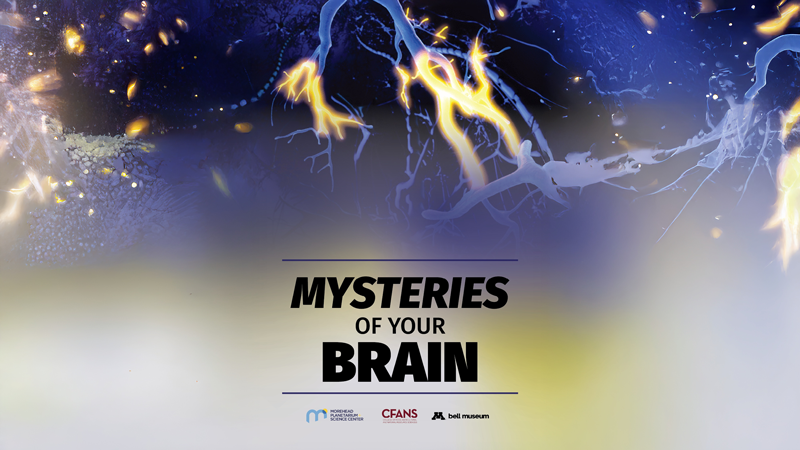 Mysteries of Your Brain