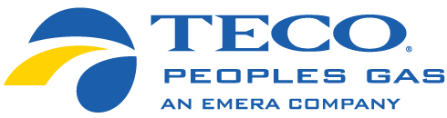 TECO logo